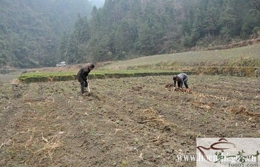 太阳河乡人口情况_太阳卡通图片