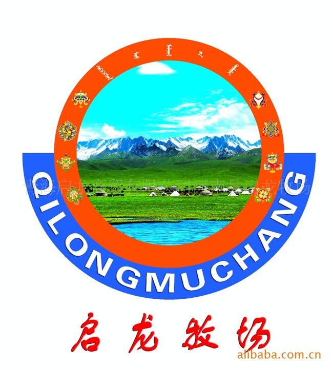 河南县拥有全国三大名马之一的河曲马、青海名优畜种欧拉羊.高清图片