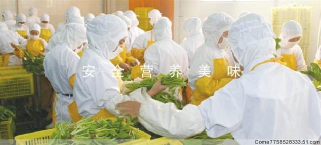 苏伯虾仁海鲜汤_腰果虾仁_冰鲜虾仁