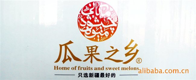 在中国枣研究中心主任,河北农业大学教授毛永明,中国林学会,枣协会图片