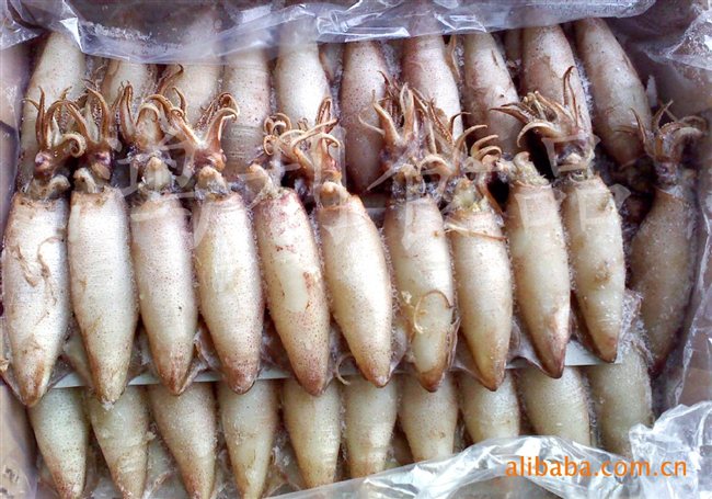 白虾、溜虾段、琵琶大虾、炒虾仁等.加工可制