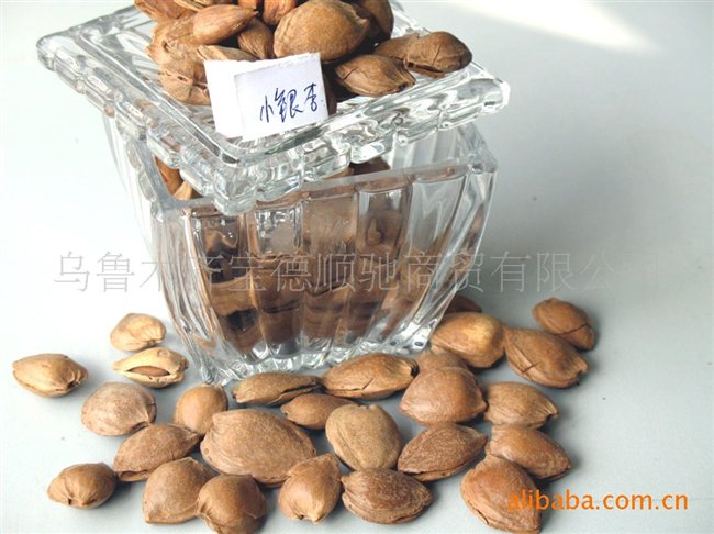 供应干果巴旦木小银杏杏仁核桃新疆大枣等(