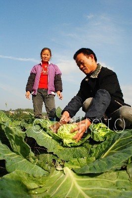 三穗县台烈镇人口有多少_三穗县台烈镇杨源(2)