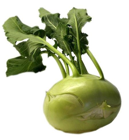 ߲ͷ˵,Ǻһֽյ,ˮ